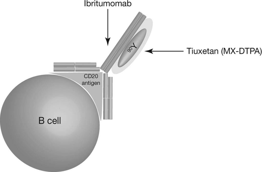 6 Radioimmunotherapy for NHL Patients Figure 1. Yttrium-90 ( 90 Y)-ibritumomab tiuxetan binding to a B cell via the CD20 antigen.