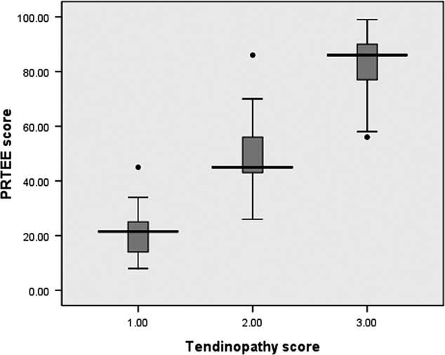 PRTEE ¼ Patient-Rated Tennis Elbow the median PRTEE score of tendinopathy score 2 was 45, and the median PRTEE score of tendinopathy score 3 was 86.
