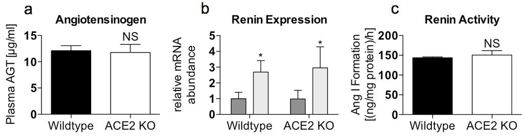 Supplementary Figure 1: Elevated plasma angiotensin levels in ACE2 KO mice a Wildtype ACE2 KO b Wildtype ACE2 KO c (a) Mean of immediatly stablized plasma angiotensin concentrations of wildtype