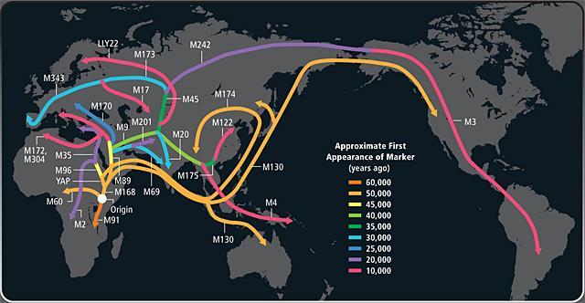 Human Migration Patterns out of