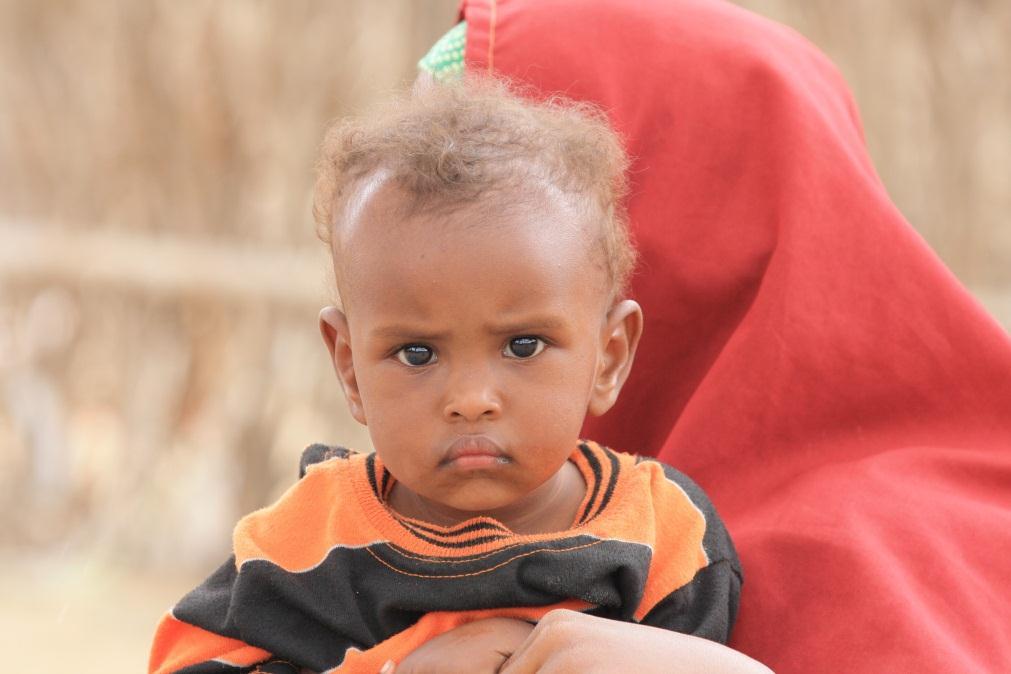 SOMALIA CONSOLIDATED APPEAL 2013- Total Puntland, six in 18 Puntland, 36 Puntland, 36 Puntland, in 36 Output 3: Community capacity to identify, screen, refer and manage malnutrition improved % of