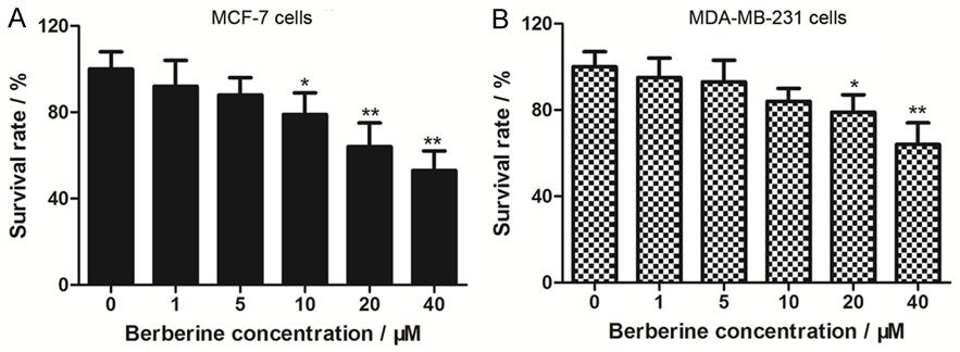 Figure 1. Berberine inhibits cell growth of MCF-7 cells and MDA-MB-231 cells. MCF-7 cells (A) and MDA-MB-231 cells (B) were plated into 96-well plate and cultured for 6 hours.