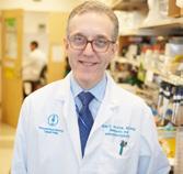 Wolchok, MD, PhD Chief, Melanoma & Immunotherapeutics Service Director, Parker Institute for Cancer