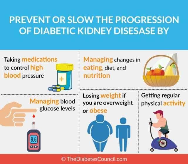 Prevention & Treatment Strategies Significant progress has been made in recent years in understanding the pathophysiology, prevention, and treatment of diabetic nephropathy.