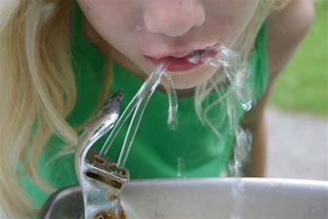 PFAS in Drinking Water The Swedish National Food