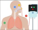 distress. The mechanisms of action for Hi-VNI Heated Humidification of inhaled gas Warm, humidified gas may mobilize secretions to open congested airways and promote airway health.