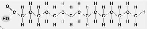 What makes a lipid saturated? 9. IF some carbons in a lipid are connected by double bonds, the molecules is called - 10.