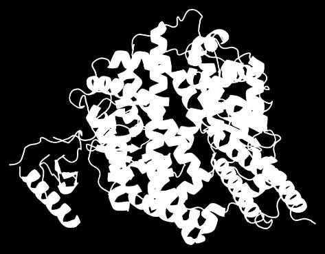 Common Protein: Enzyme- Speeds up chemical reaction by