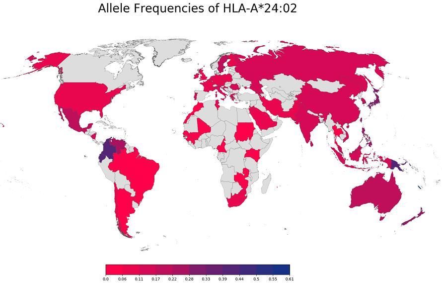 types are required to cover >90% of a population in a given geography HLA allele frequency