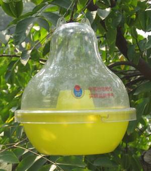 ISPM 26 Establishment of pest free areas for fruit flies (Tephritidae) - Appendix 1 Use For this trap to function properly it is essential that the body stays clean.
