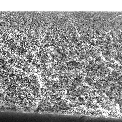 Ultrafiltration Membrane Structure Micron pore size - 0.001-0.