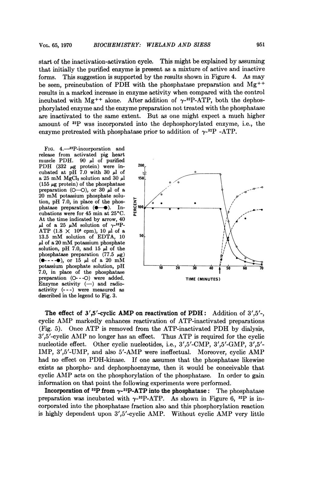 VOL. 65, 1970 BIOCHEMISTRY: WIELAND AND SIESS 951 start of the inactivation-activation cycle.