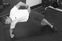 A/B/C Plank with Oblique Crunches Plank position: lying prone (face down) on floor with body weight supported on elbows