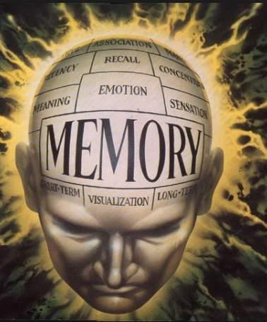 Memory Procedural, Episodic, Semantic All effected, not