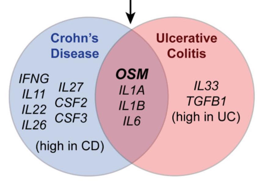 Oncostatin M (OSM) and its receptor (OMSR) are