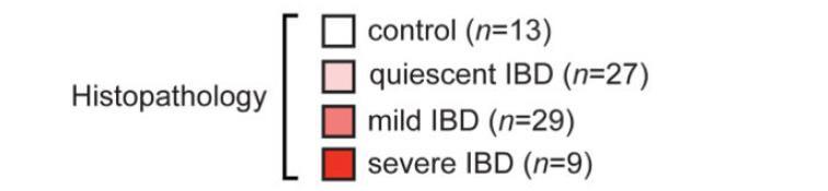 severity OSM gene is highly expressed in IBD mucosa