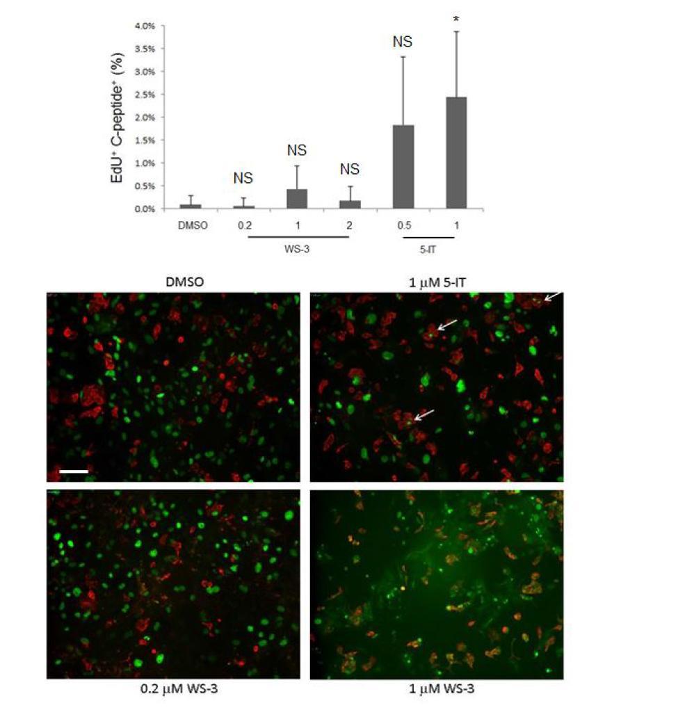 Supplementary Figure 4. Effect of six-day treatment with WS-3, a reported small-molecule inducer of human beta-cell proliferation.