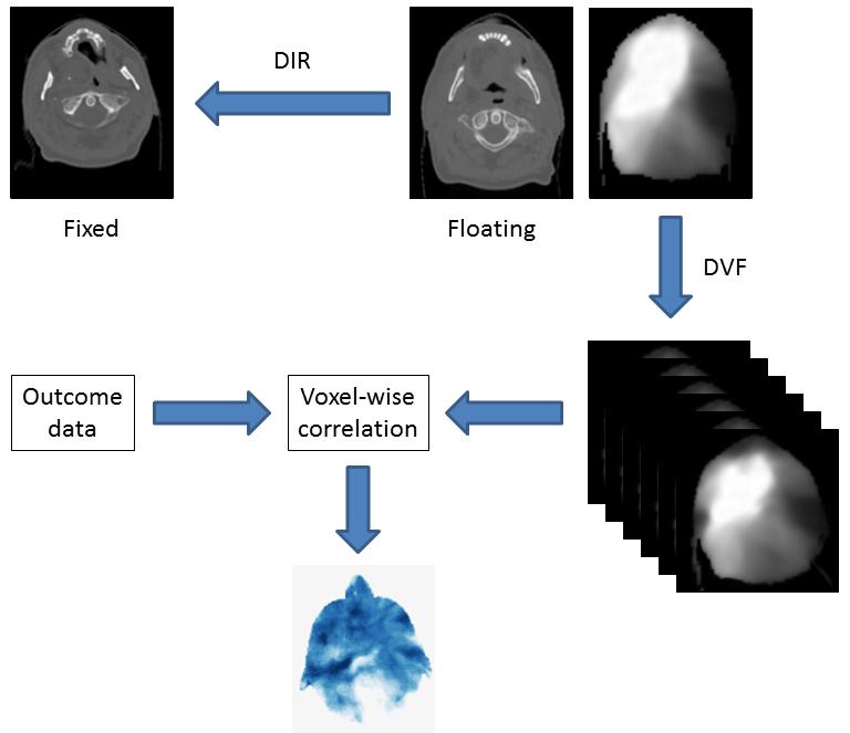 Figure 5.4: Methodology for image-based data mining. Images were nonrigidly registered to the reference image, and the dose distributions warped to a common frame of reference.