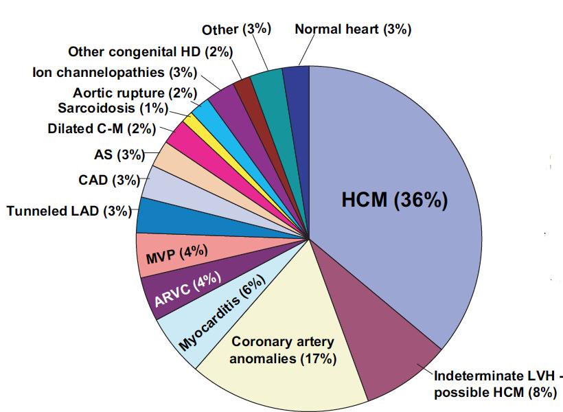 Distribution of cardiovascular causes of sudden death in 1435 young competitive athletes.