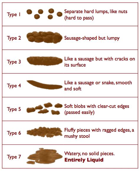Bristol Stool Scale The Bristol Stool Scale is a medical tool designed to classify stools (faeces) into seven types.