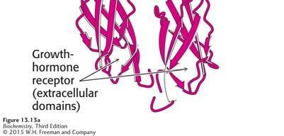 integral membrane protein