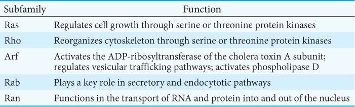 A key component of the EGF pathway, as well as other signal transduction pathways, is the protein Ras. Ras is a member of the family of signal proteins called small G proteins or small GTPases.
