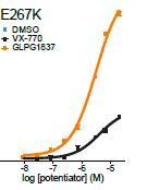 VX770 GLPG P TMD1 Potentiator MoA insights