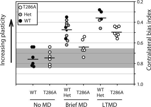 For WT and Het mutant mice, LTMD averaged 22 5 days and LTBD averaged 23 6 days. Single-Unit Recording. In all experiments, recordings were performed blind to the genotype of the studied animal.