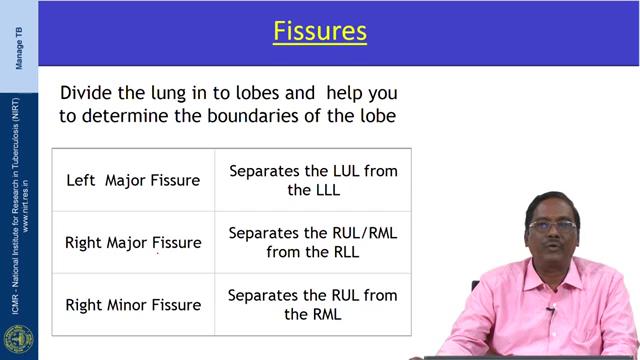 (Refer Slide Time: 15:35) Coming to the fissures, fissures divide the lung into lobes and help to determine the boundaries of the lobe.