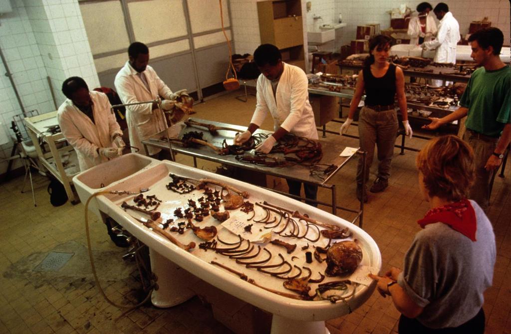 techniques to legal matters -forensic anthropologists help