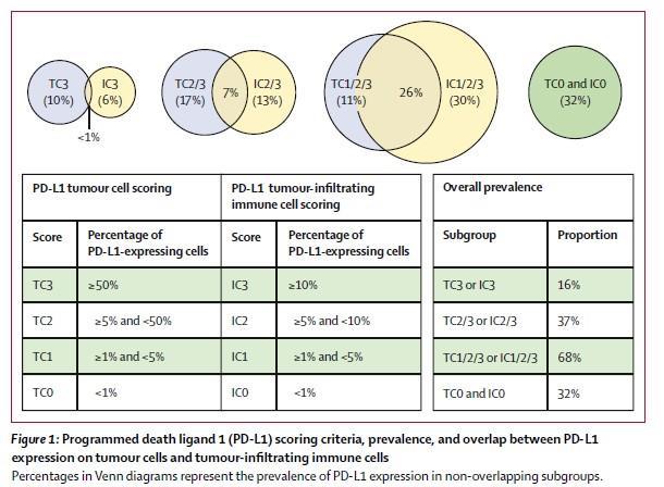 PD-L1 Expression (IHC) as a Predictive Biomarker