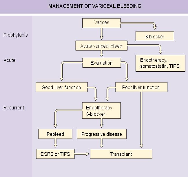 summary of the management of variceal bleeding Fig.