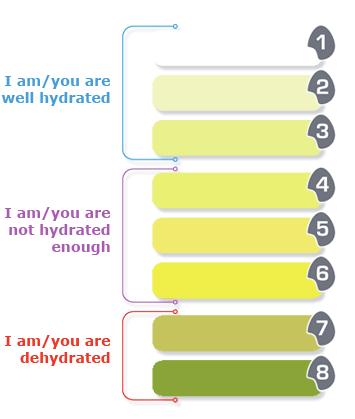 HOW CAN MARSHALS MONITOR THEIR OWN DEHYDRATION? Hydration can be measured in several ways.