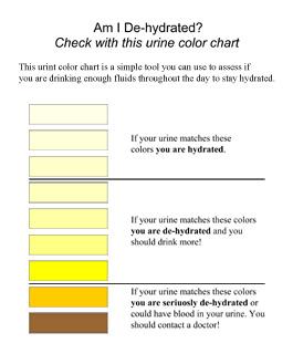 Urine color is a good indicator of hydration The closer urine color is to clear the more hydrated you
