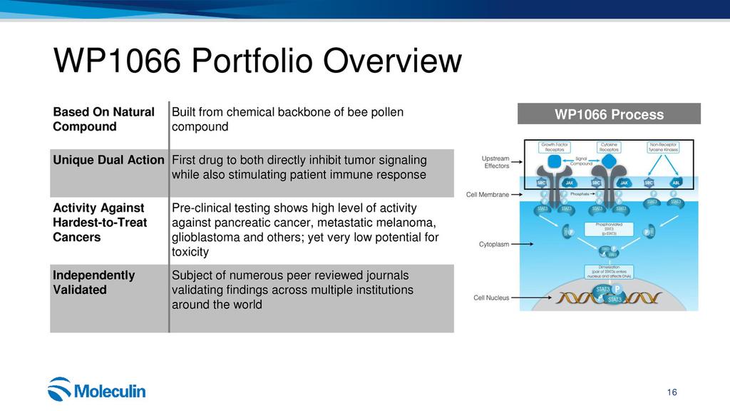 WP1066 Portfolio Overview Based On Natural Compound Built from chemical backbone of bee pollen compound Unique Dual Action First drug to both directly inhibit tumor signaling while also stimulating