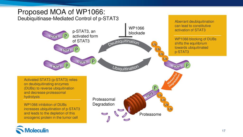 Proposed MOA of WP1066: Deubiquitinase-Mediated Control of p-stat3 17 Proteasome Proteasomal Degradation p-stat3, an activated form of STAT3 Ubiquitinated STAT3 Activated STAT3 (p-stat3) relies on