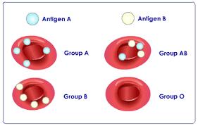 Antigens are