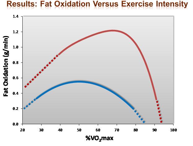 Determinants of fat oxidation during exercise in healthy