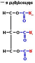 When the R groups contain only singly bonded carbons, they are said to be saturated.
