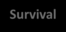 258 Overall Survival 78,5% 76.0% HR: 0.84 (95% CI: 0.71-1.00) P=0.046 Stage III HR 0.