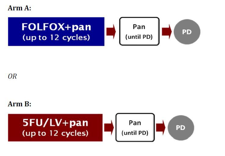 first-line FOLFOX plus panitumumab versus 5FU