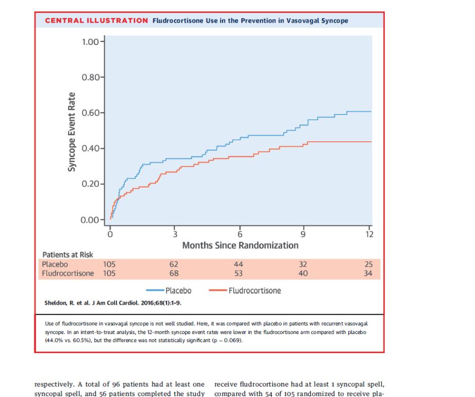 SINCOPE RESULTS 12-month syncope event rates lower in the fludrocortisone arm compared with placebo (44.0% vs.