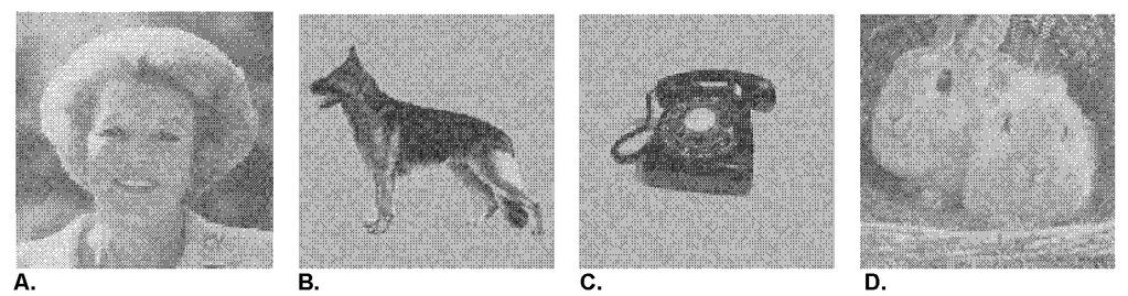 16 CHAPTER 2. VISUAL RECOGNITION IN PD WITH VH Figure 2.1: Images revealed out of noise. The images Queen (A), Dog (B), Telephone (C), and Rabbit (D) that were dynamically revealed out of noise.