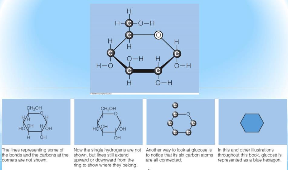 Aldo sugars contain an aldehyde group Keto sugars contain a ketone group Haworth Projections