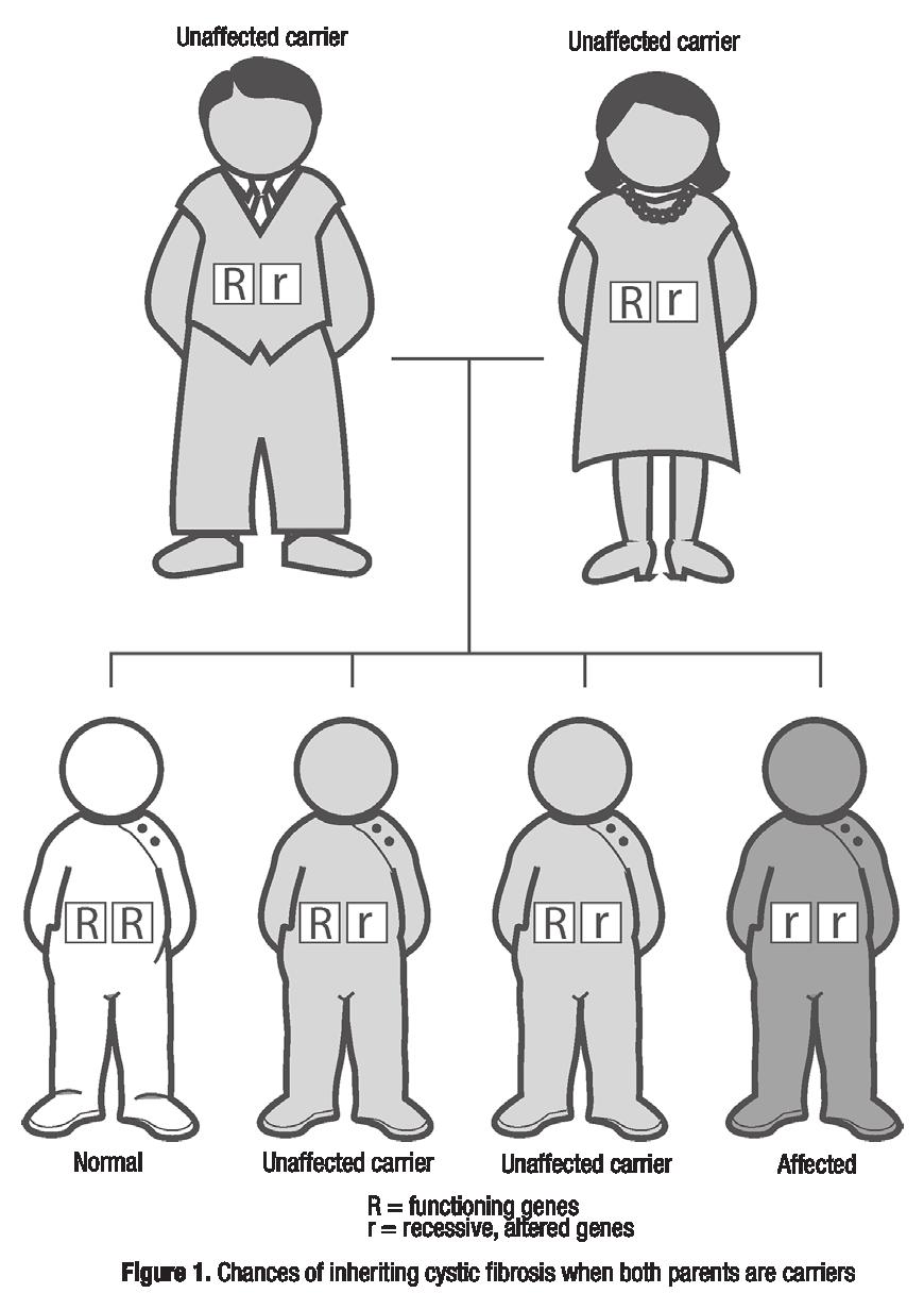 As figure 1 shows, when both parents carry a single altered CF gene, each child has: A 25 percent chance of having CF.