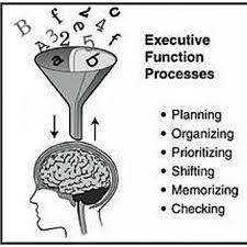 Know their Executive Functioning System! The capacity to express spontaneous, automatic, and consciously controlled behaviors in a flexible and purposeful manner!