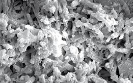 SEM: perossal cone surface The nanocrystalline hydroxyapatite gives perossal a very high specific surface which allows proteins and growth factors to bind directly onto the surface and results in