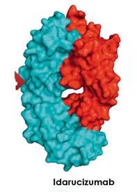 Idarucizumab Binds Dabigatran, Preventing Thrombin Inhibition REVERSE-AD Study