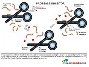 Mechanism of Action Non-nucleoside reverse transcriptase inhibitors (NNRTI) The NNRTI class of antiretroviral drugs are small hydrophobic chemical compounds that have high affinity for a hydrophobic