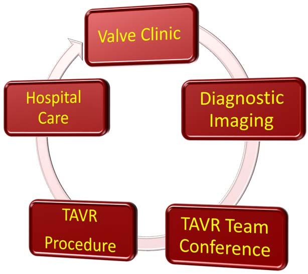 The TAVR Process Return Referral ARS Question # 1 Audience poll The most important role for the imager